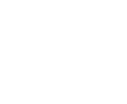 دليل yalow whale